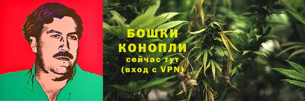 трава Верея