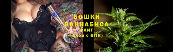 ПСИЛОЦИБИНОВЫЕ ГРИБЫ Гусиноозёрск
