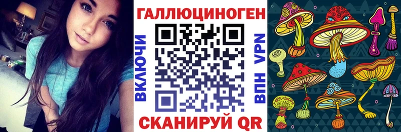 hydra как войти  Дедовск  Галлюциногенные грибы прущие грибы 